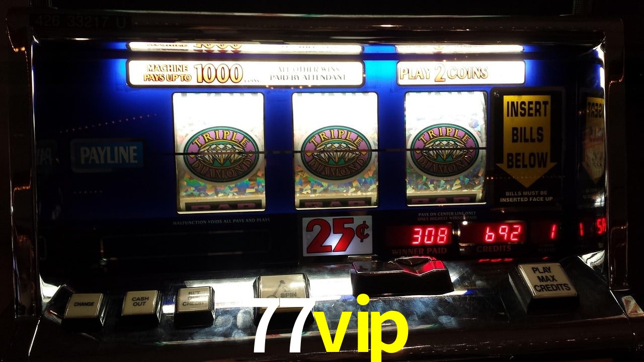 Experiência VIP 77vip